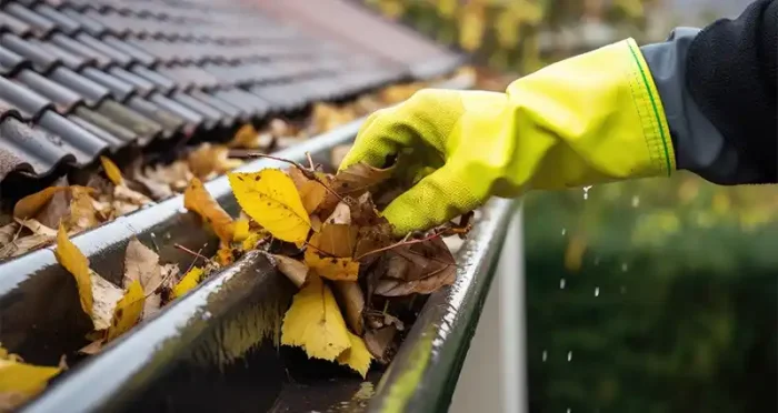 Limpieza de musgo en tejados en Vigo 36201 y mantenimiento de canalones